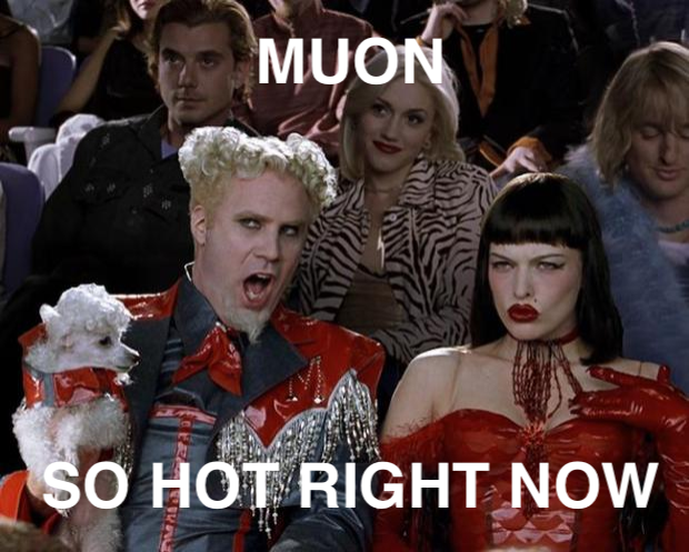 so hot right now meme about Muon